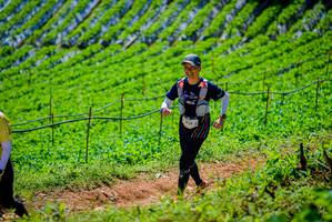 BIB: 
                            <button type="button" onclick="openModal(19164129)" class="btn btn-primary btn-sm float-right btn-popup" data-toggle="modal" data-target=".modal-high-quality">
                        <i class="fas fa-shopping-cart"></i> Add to Cart
                    </button>
                                            <button type="button" onclick="isThisMe(19164129, true)" class="btn btn-success btn-sm float-right btn-popup btn-isme hidden" data-toggle="tooltip" data-placement="bottom" title="นี่คือรูปของคุณใช่ไหม คลิกที่นี่เพื่อเอาเข้าอัลบั้ม">
                        <i class="fas fa-plus"></i> Add to album
                    </button>
                    <button type="button" onclick="isThisMe(19164129, false)" class="btn btn-warning btn-sm float-right btn-popup btn-isnotme hidden">
                        <i class="fas fa-ban"></i> Remove from album
                    </button>